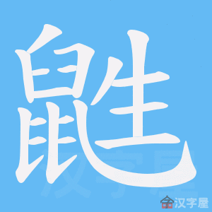 �������ı�˳����д�ֶ�����ʾ