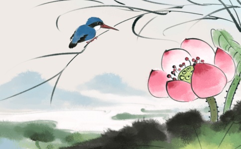 伟字的五行属性是什么