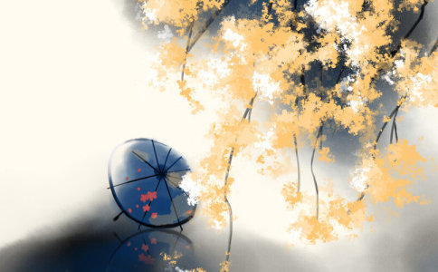 贤字的五行属性是什么