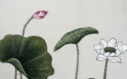 科字的五行属性是什么