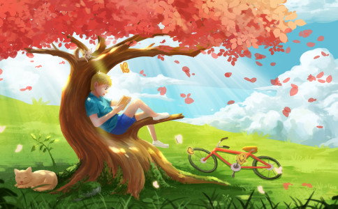 �����к���ôȡ����