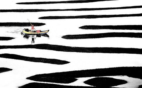 ������Ů��ʫ����������Ԣ�������