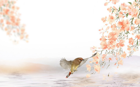 ������Ů��ʫ����������Ԣ�������