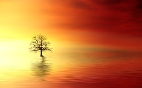 ���մ����ֵ���ô������