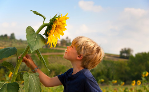 男孩子怎么起名字好