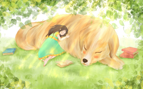 2021�����ı��������ȡ��