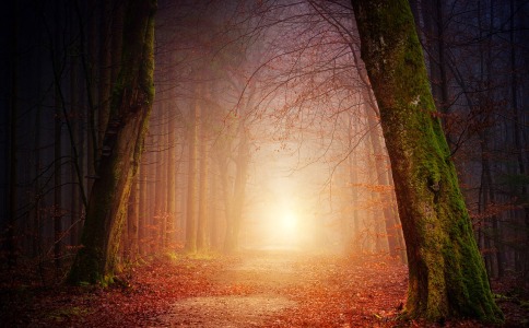 今年小孩怎么起名字大全