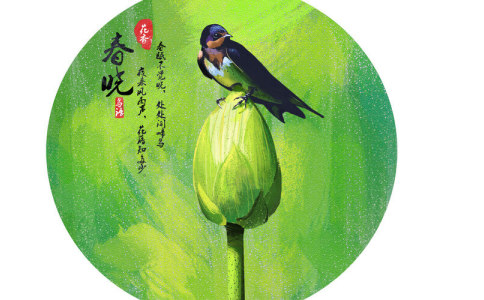 李 典故 诗词 取名 8个名字引经据典推荐