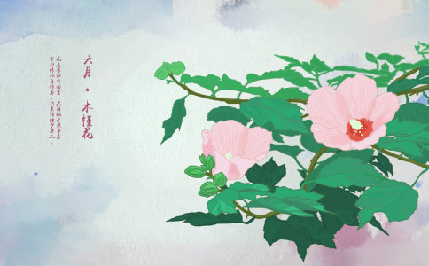 ���չ�ʫȡ�� 8�����������ݵ��Ƽ�