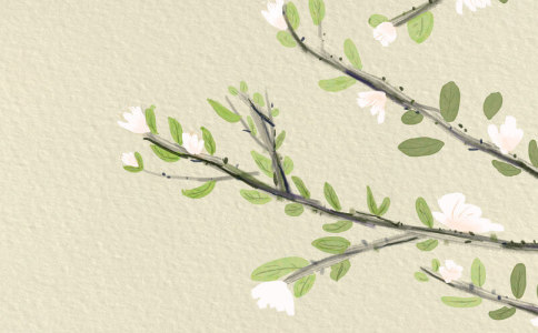 �����ֵ�ʫ��ȡ�� 8�����������ݵ��Ƽ�