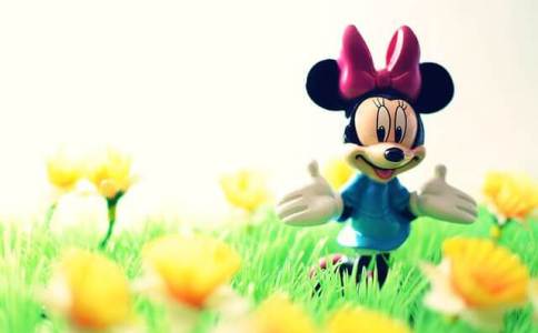 赵姓属鼠女孩子取名大全