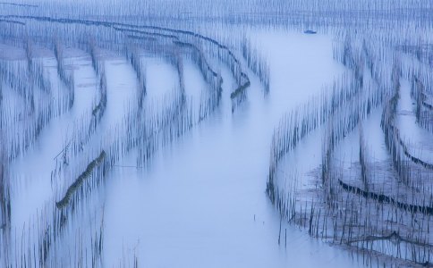 ����ȡʲô���ֺ�