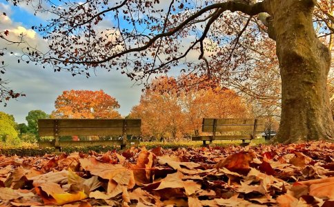 �շ�ȡ���к� ��Щ�������뵽����