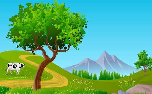 姓隋男孩2021年属牛