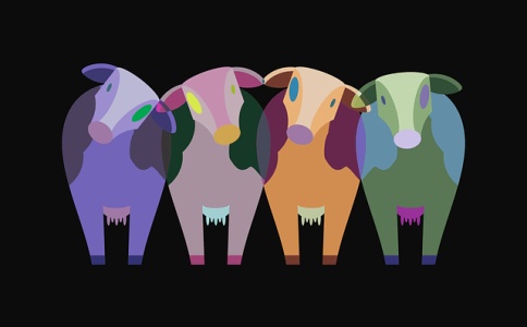 牛年罗姓女孩名字大全