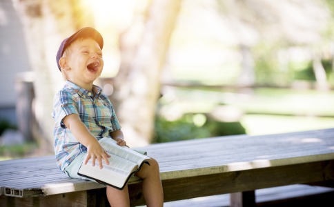 姓芦带新字男孩取名字