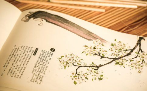 给孩子起名叫张什么