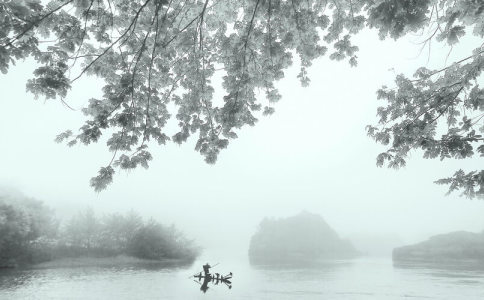 张姓独特好听的名字