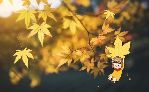 丁姓金字旁的女孩名字