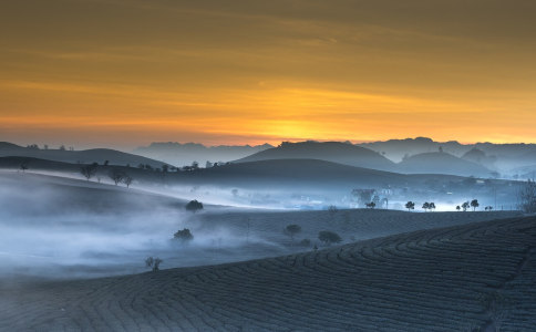 姓苏带炜字起名字