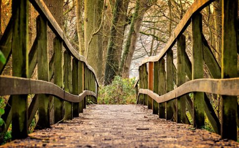 姓马起什么名字好听