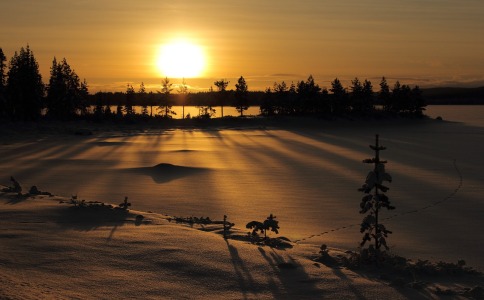 姓董的取名字大全