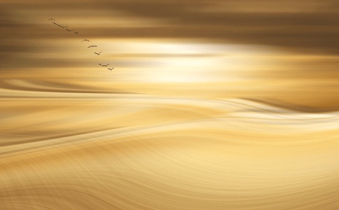 姓王宝宝名字2019