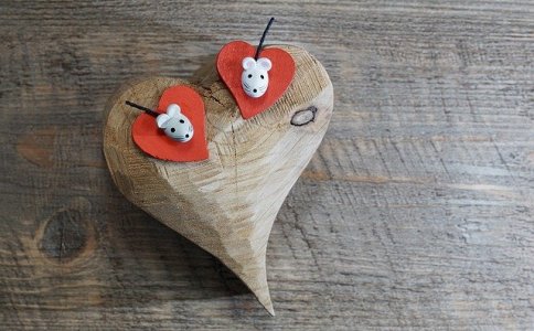 2020年属鼠郑姓女孩取名字大全