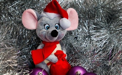 2020年属鼠范姓女孩取名字大全