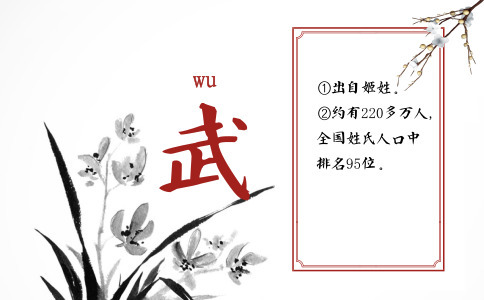 武姓男孩取名_姓武男宝宝两个字名字