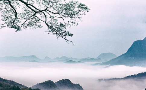 姓王好记的宝宝名字2019