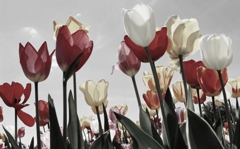 起名姓张带钰的名字2019