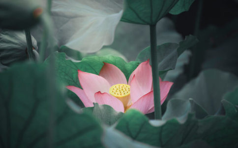 王姓两个名字大全