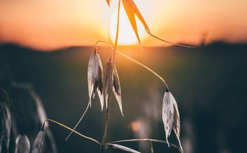 李姓宝宝起名2019