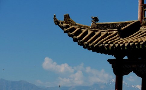 姓杨宝宝起名字