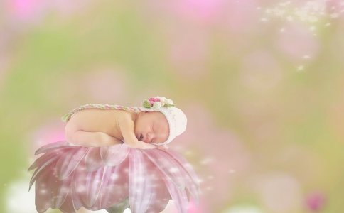 宝宝姓茅起名字2019