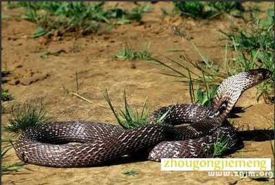 ���������ε���