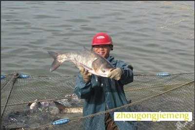 �μ��Լ��ں���ץ��