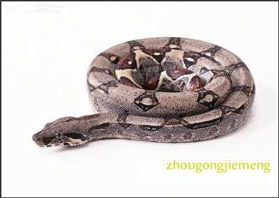 �����μ�������