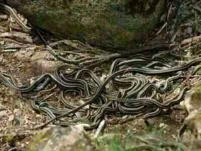 �μ��ö��ߵ���