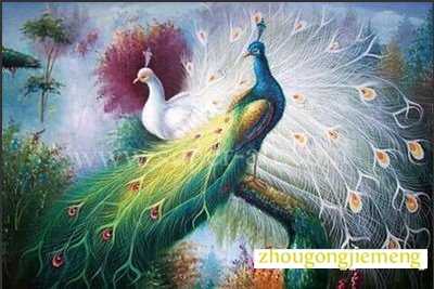 梦见孔雀