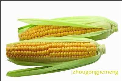 梦见玉米 包谷
