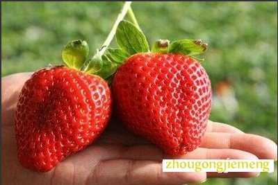 梦见草莓