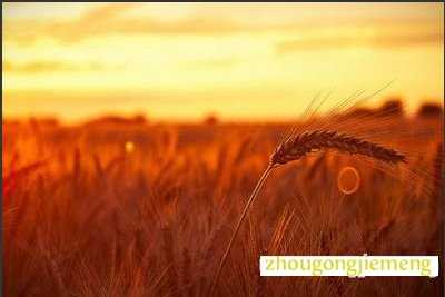梦见傍晚 黄昏
