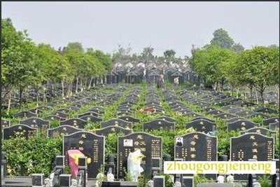 梦见公墓