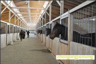 梦见马厩 马棚