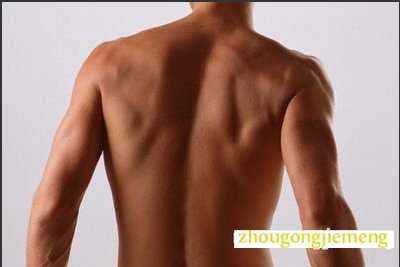 梦见脊椎 背脊 脊柱