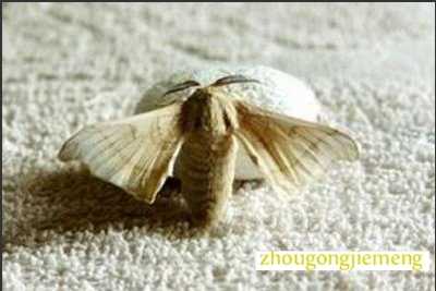 �μ��϶����