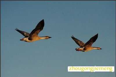 �μ�����