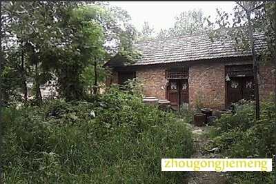 梦见院子里长满杂草